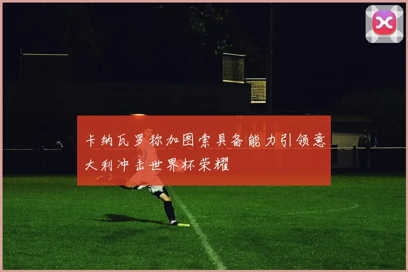 卡纳瓦罗称加图索具备能力引领意大利冲击世界杯荣耀