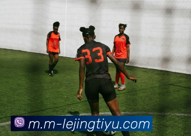 App Interface Preview